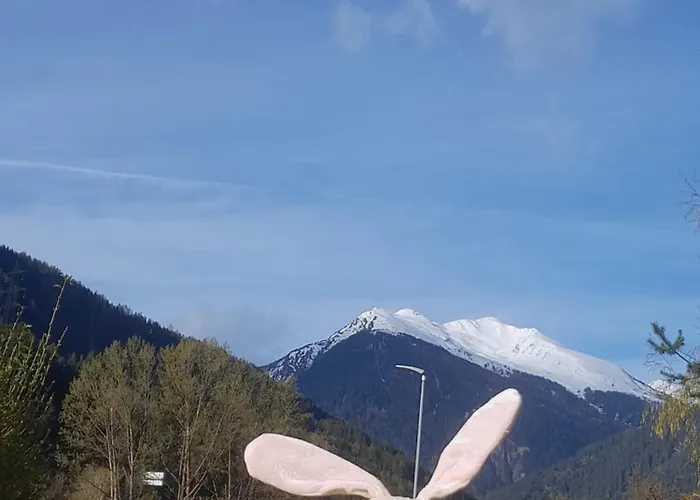 公寓 Haus Hotz Talblick